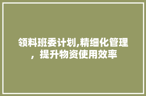 领料班委计划,精细化管理，提升物资使用效率