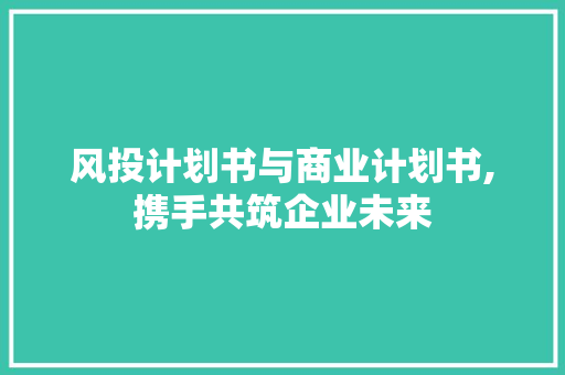 风投计划书与商业计划书,携手共筑企业未来