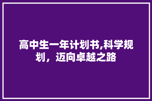 高中生一年计划书,科学规划，迈向卓越之路 范文赏析