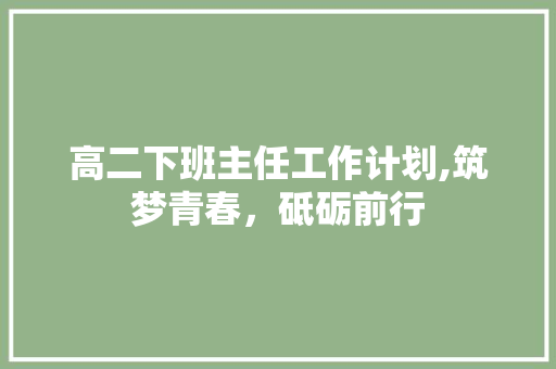 高二下班主任工作计划,筑梦青春，砥砺前行