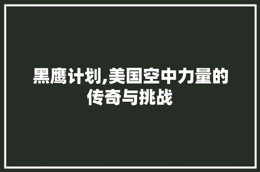 黑鹰计划,美国空中力量的传奇与挑战