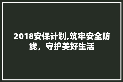 2018安保计划,筑牢安全防线，守护美好生活