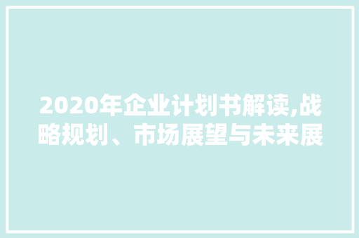 2020年企业计划书解读,战略规划、市场展望与未来展望 范文赏析