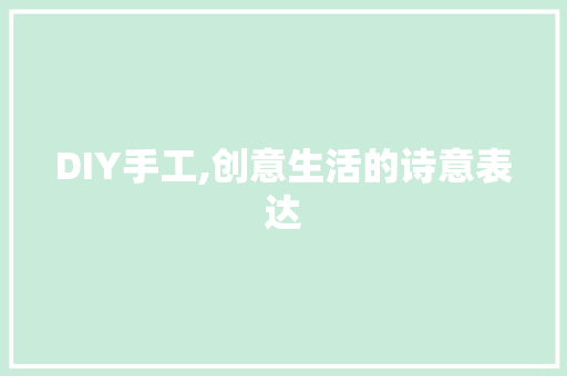 DIY手工,创意生活的诗意表达 报告写作