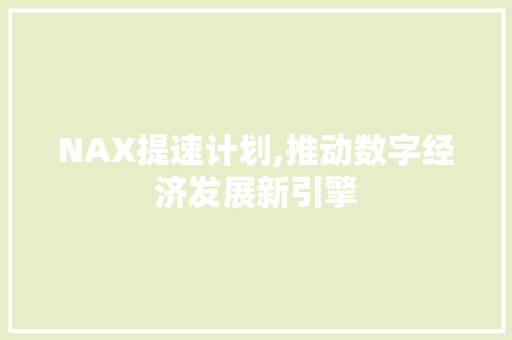 NAX提速计划,推动数字经济发展新引擎 范文赏析