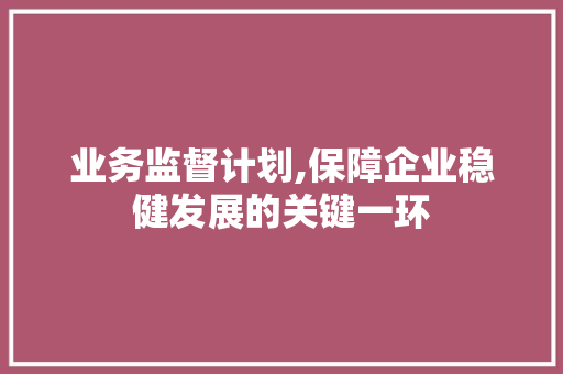 业务监督计划,保障企业稳健发展的关键一环