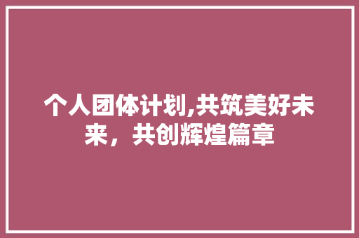 个人团体计划,共筑美好未来，共创辉煌篇章