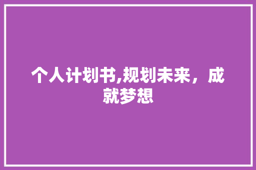 个人计划书,规划未来，成就梦想