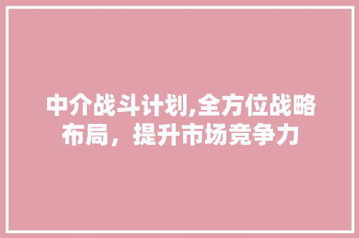 中介战斗计划,全方位战略布局，提升市场竞争力