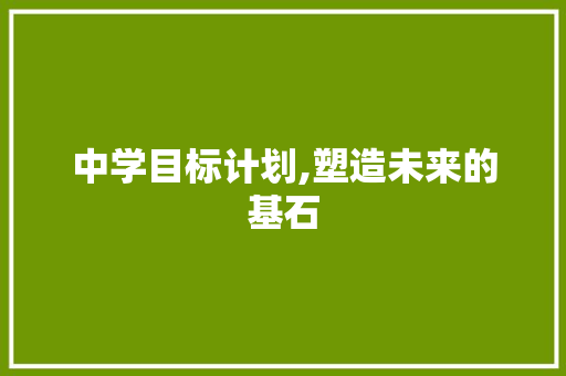 中学目标计划,塑造未来的基石