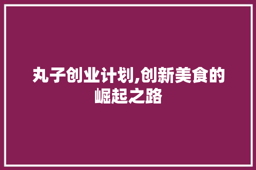 丸子创业计划,创新美食的崛起之路