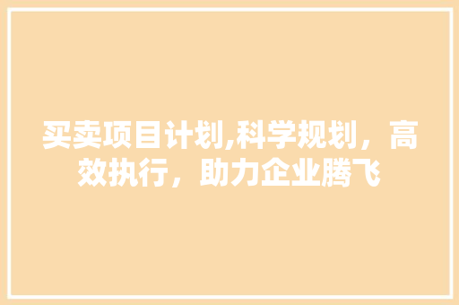 买卖项目计划,科学规划，高效执行，助力企业腾飞