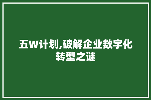 五W计划,破解企业数字化转型之谜 报告写作