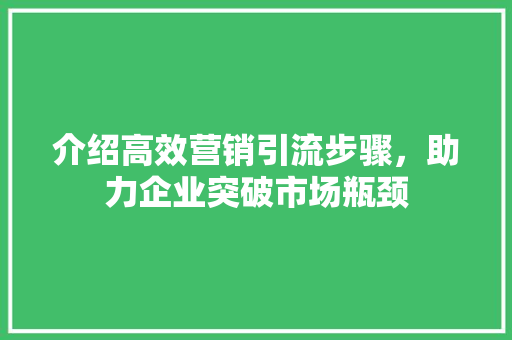 介绍高效营销引流步骤，助力企业突破市场瓶颈