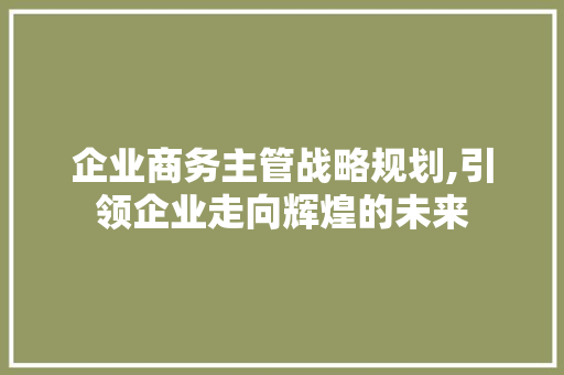 企业商务主管战略规划,引领企业走向辉煌的未来