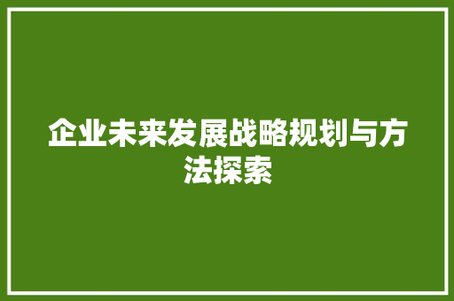 企业未来发展战略规划与方法探索 简历模板