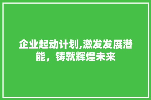 企业起动计划,激发发展潜能，铸就辉煌未来