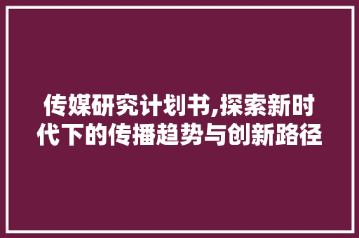 传媒研究计划书,探索新时代下的传播趋势与创新路径