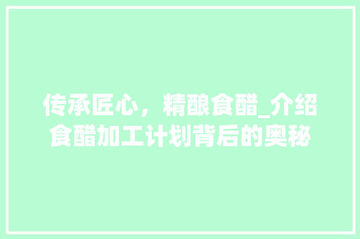 传承匠心，精酿食醋_介绍食醋加工计划背后的奥秘