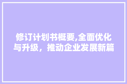 修订计划书概要,全面优化与升级，推动企业发展新篇章