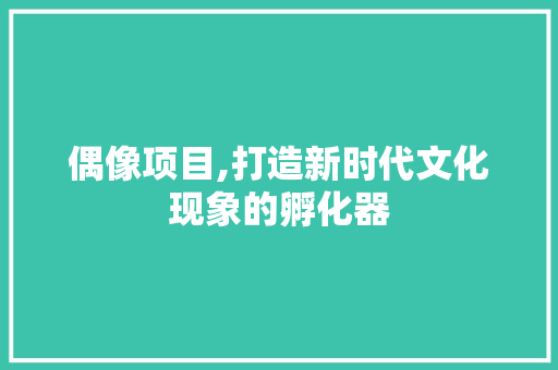 偶像项目,打造新时代文化现象的孵化器