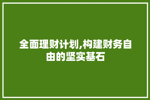 全面理财计划,构建财务自由的坚实基石