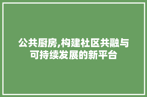 公共厨房,构建社区共融与可持续发展的新平台