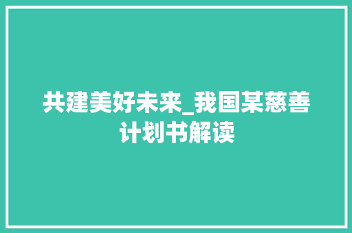 共建美好未来_我国某慈善计划书解读