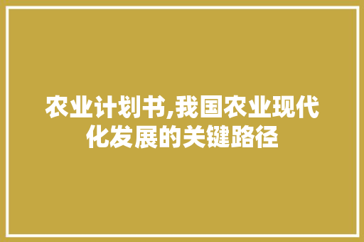 农业计划书,我国农业现代化发展的关键路径 范文赏析