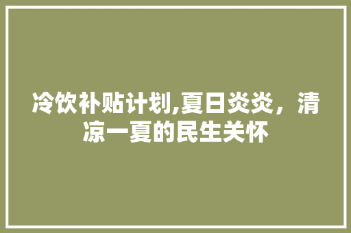 冷饮补贴计划,夏日炎炎，清凉一夏的民生关怀