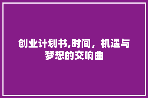 创业计划书,时间，机遇与梦想的交响曲