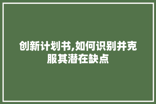 创新计划书,如何识别并克服其潜在缺点