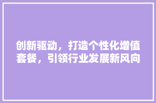 创新驱动，打造个性化增值套餐，引领行业发展新风向