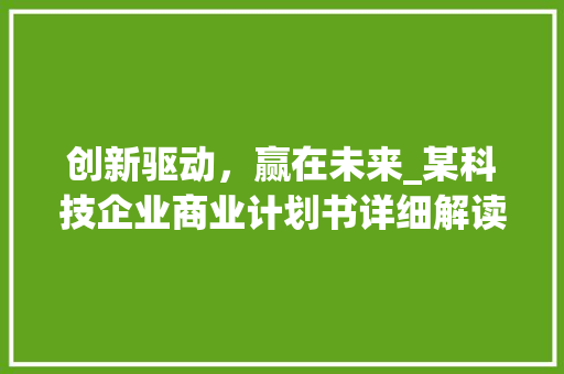 创新驱动，赢在未来_某科技企业商业计划书详细解读