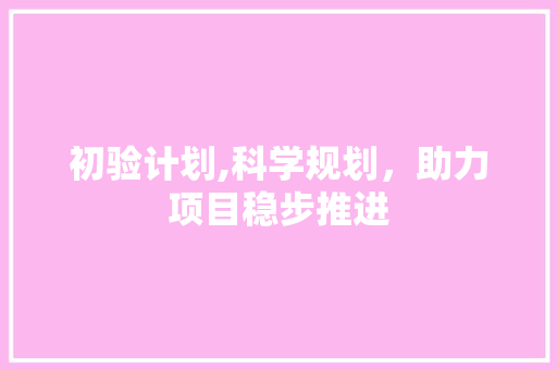 初验计划,科学规划，助力项目稳步推进