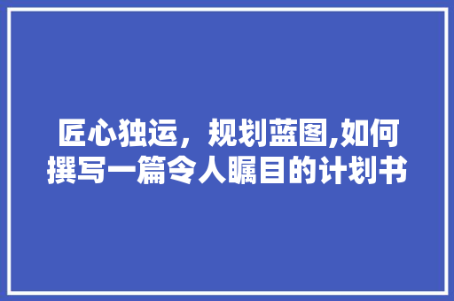 匠心独运，规划蓝图,如何撰写一篇令人瞩目的计划书