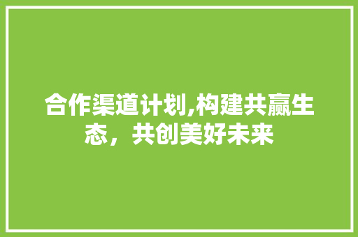 合作渠道计划,构建共赢生态，共创美好未来