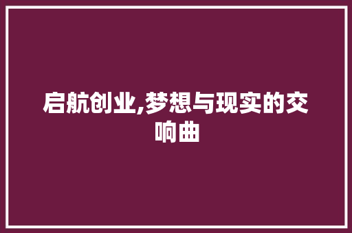 启航创业,梦想与现实的交响曲