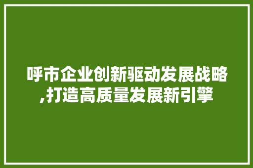 呼市企业创新驱动发展战略,打造高质量发展新引擎