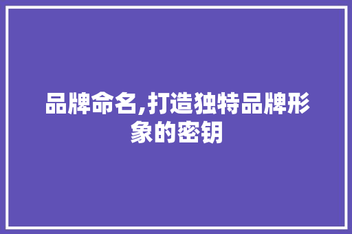 品牌命名,打造独特品牌形象的密钥