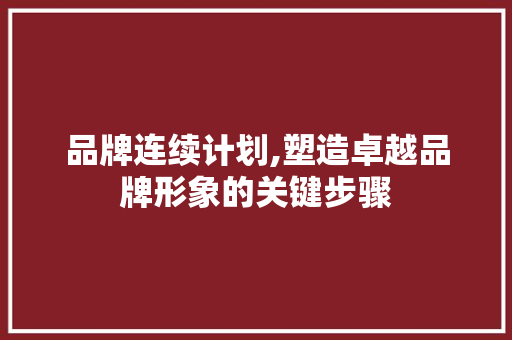 品牌连续计划,塑造卓越品牌形象的关键步骤
