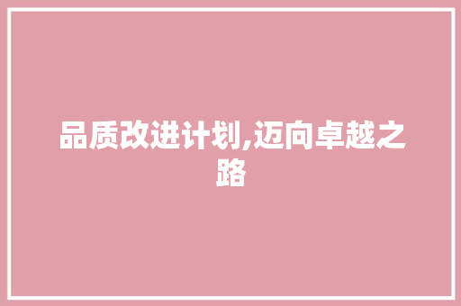 品质改进计划,迈向卓越之路