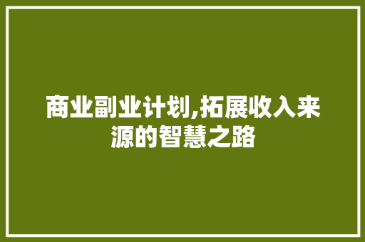商业副业计划,拓展收入来源的智慧之路