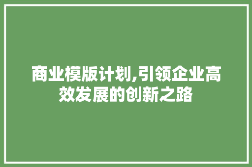 商业模版计划,引领企业高效发展的创新之路