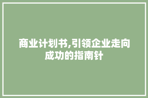 商业计划书,引领企业走向成功的指南针