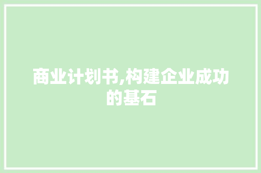 商业计划书,构建企业成功的基石