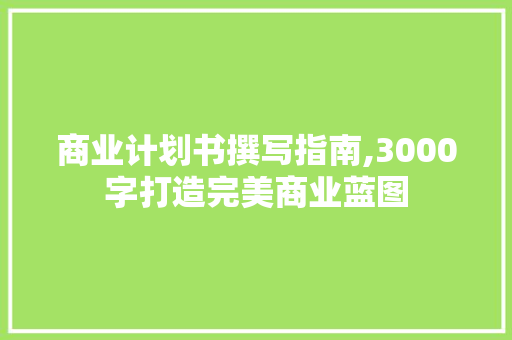 商业计划书撰写指南,3000字打造完美商业蓝图