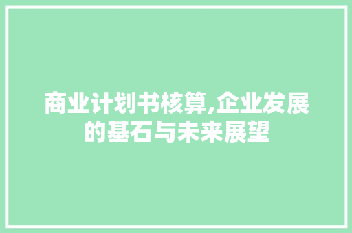 商业计划书核算,企业发展的基石与未来展望