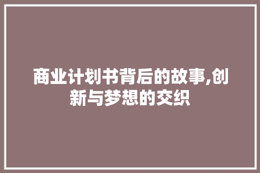 商业计划书背后的故事,创新与梦想的交织