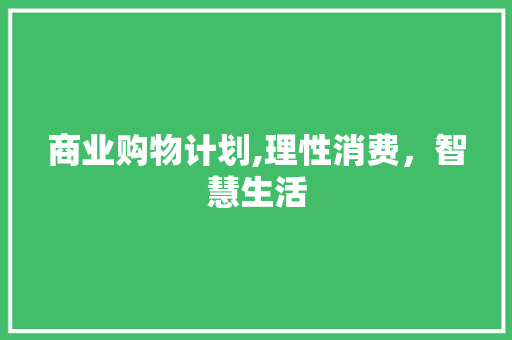 商业购物计划,理性消费，智慧生活